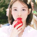 상기태양광발전소 이미지