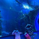 단양생태체육공원 2 이미지