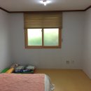 부남면041 Daum카페