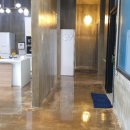 쑤기네 풀 이미지