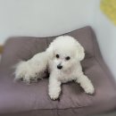 (주) 유노테크 네이버블로그