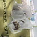연지웰치과의원 | 연지웰치과의원