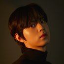 컴퍼니청량 스포츠경향