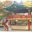 푸른이화음악학원 이미지
