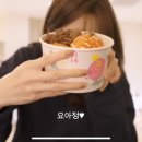 요거트아이스크림의정석대구