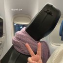 첼로 | 싱가포르항공 첼로 좌석 예약 후기