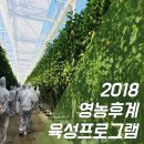 (주)지앤비여행사 네이버블로그