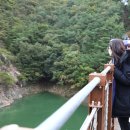 제천 옥순봉 출렁다리 충주호가 보이는 제천명소 가볼만한곳 추천