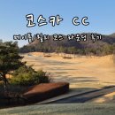 코스카cc | 코스카 CC 메이플/릴리 코스 라운딩 후기: 화이트 티에서 89타 찍고 온 날!