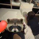 아진피앤피노동조합 | 5 to 6