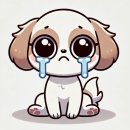 다원동물병원 이미지