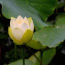 호수공원_매점앞 이미지