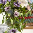 벤자민&데이지 이미지