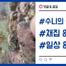 독립-16-03 이미지