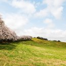 계룡목장 이미지