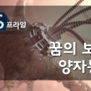 신의통신 이미지