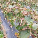 입동목장 이미지