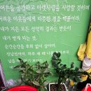 어서오시게부천 | 부천 상동시장 맛집 수미닭강정 재방문한 이유