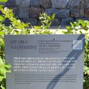 요사채 | 보령시 오천면 소성리 선림사(20190918)