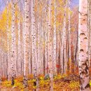 자작나무 숲 이미지