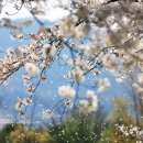 GR(양평군)-[양근로]-상-17 | 양평여행코스 1박 2일 서울근교여행 친구들과 힐링 봄나들이