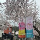 봉평주공아파트(1804) | 이번 주말 통영 여행을 계획했다면?! 봉수골 벚꽃축제 꼭 가야 합니다