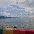 사천견생 이미지