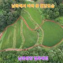 영주태양광발전소 이미지