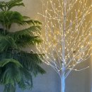 달안동-2 이미지