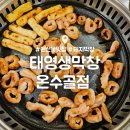 온수골 | 권선동 막창 맛집 : 태영생막창 온수골점 : 수원 롯데마트 맛집 내돈내산 후기