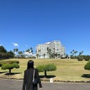 허니문 하우스 이미지