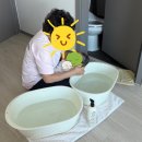 크린토피아 안양지사 | 쪽이케어 안양군포의왕과천지사 안양베이비시터 후기｜위생·청결까지 꼼꼼했던 관리사님