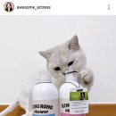 킹콩샤워 이미지