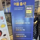 동대구신세계약국 | 바운스 트램폴린파크 동대구신세계백화점센터 주말방문 후기