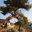 하루농장 이미지