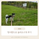 멍더랜드 이미지