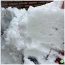 신박한세차 | 겨울 차량 용품 추천 시리즈 돌비웨이 눈 빗자루 자동차 2 in1 성에 제거 폭설 청소 쓸개 구매 후기