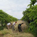 회진면사무소 이미지