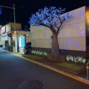 제민천1길,제민천3길 이미지