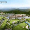 주식회사 벨라 이미지