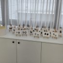 울산유치원 | 울산 남구 삼산동 애견유치원 추천후기 [핫도그반려견유치원]