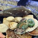 배곧아브뉴프랑센트럴퍼플 이미지