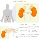 온기한의원 이미지