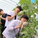 김규태 농장 이미지