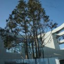 헤이메르 이미지