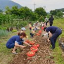 여자만마을 이미지