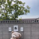 늘경주휴 이미지