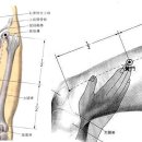중앙SP 이미지