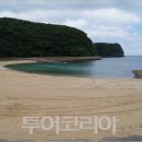 기쁨두배여행