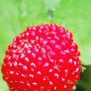 동방유통 이미지